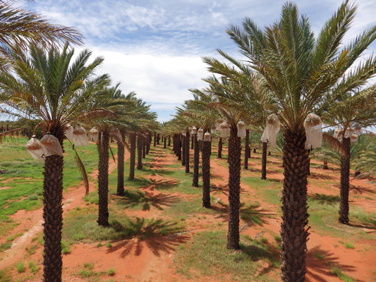 New Website Launched!