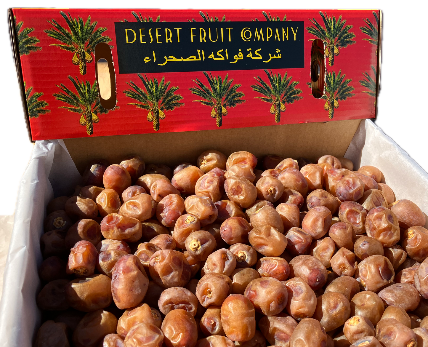 Barhee Dates (Rutab) - 4.5kg box