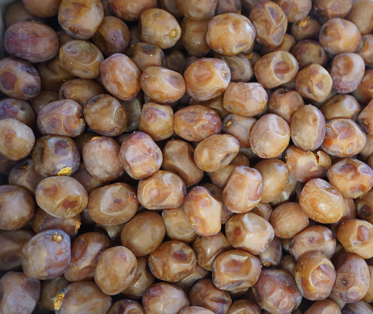 Barhee Dates (Rutab) - 4.5kg box