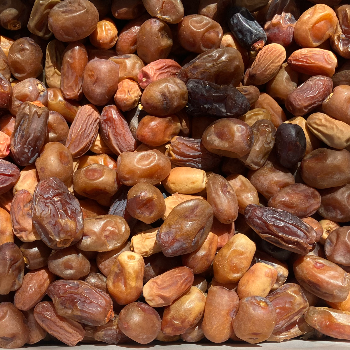 Mixed Dates - 4.5kg box