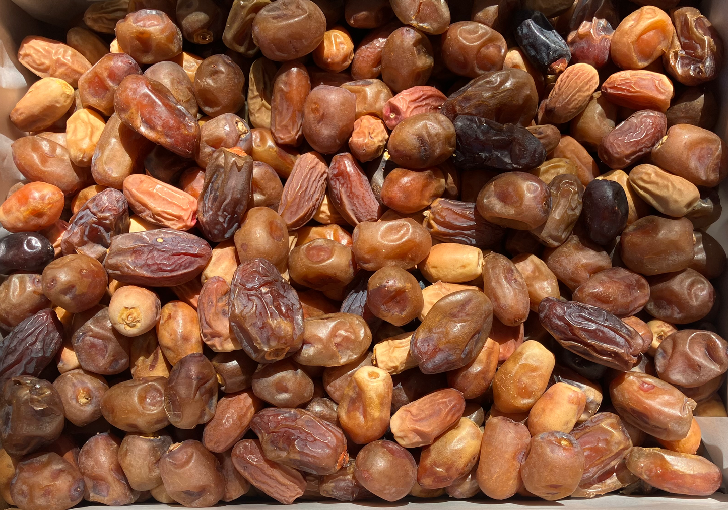 Mixed Dates - 4.5kg box