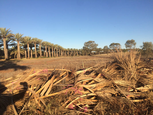 BioChar Trial