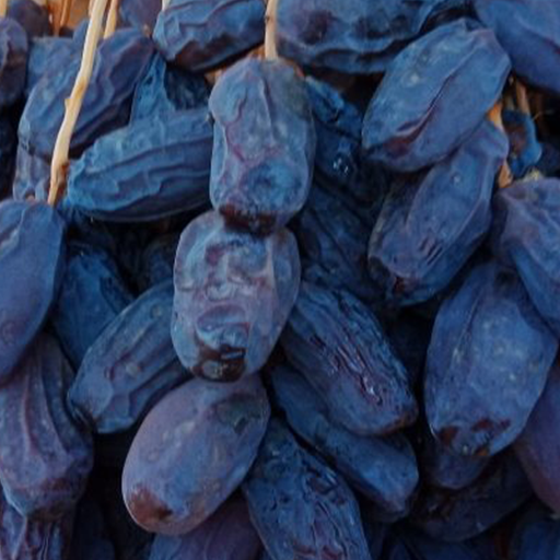 Select Medjool Dates